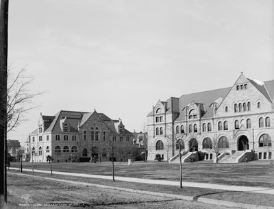 Università di Tulane, New Orleans, Louisiana, 1906 da Detroit Publishing Co.